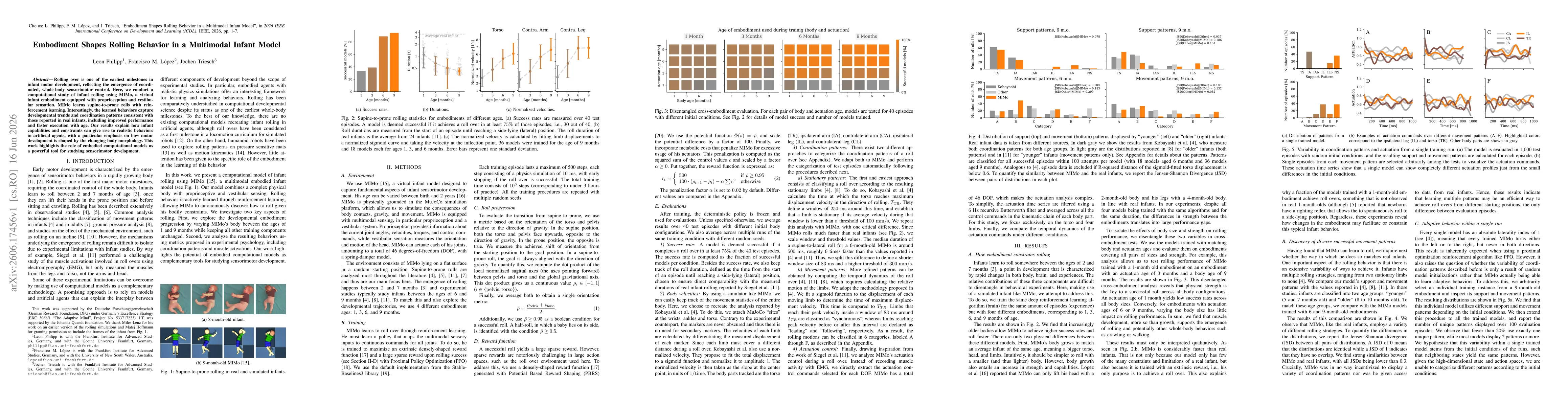 Thumbnail for Embodiment Shapes Rolling Behavior in a Multimodal Infant Model