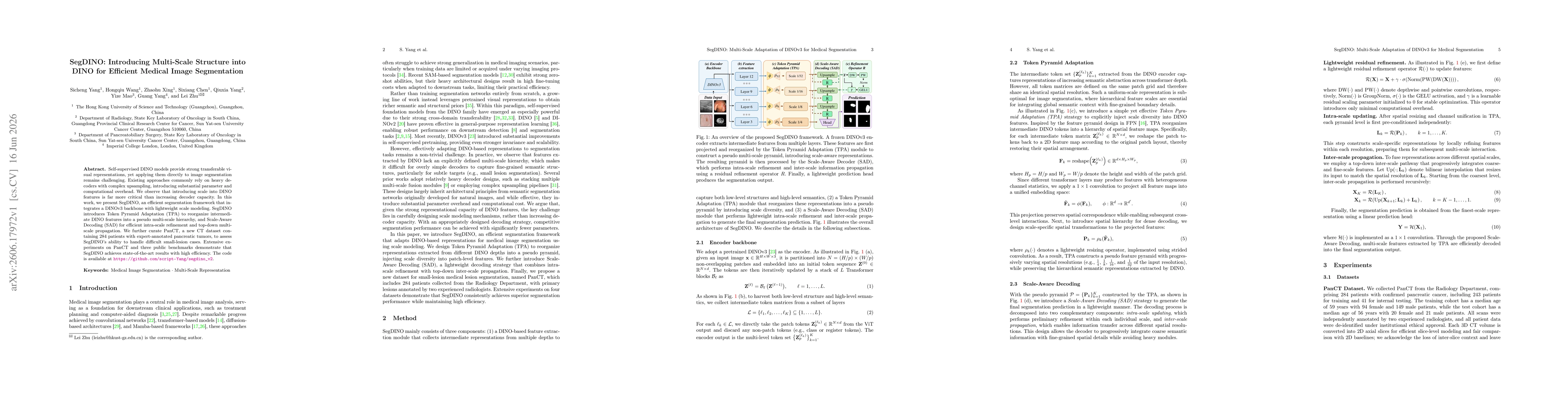 Thumbnail for SegDINO: Introducing Multi-Scale Structure into DINO for Efficient Medical Image Segmentation