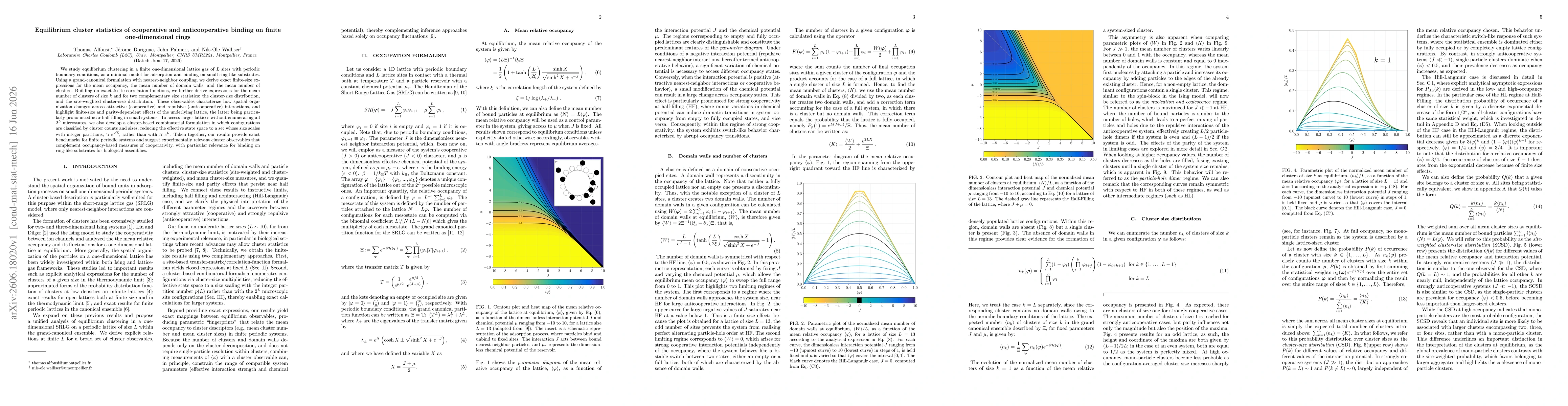 Thumbnail for Equilibrium cluster statistics of cooperative and anticooperative binding on finite one-dimensional rings