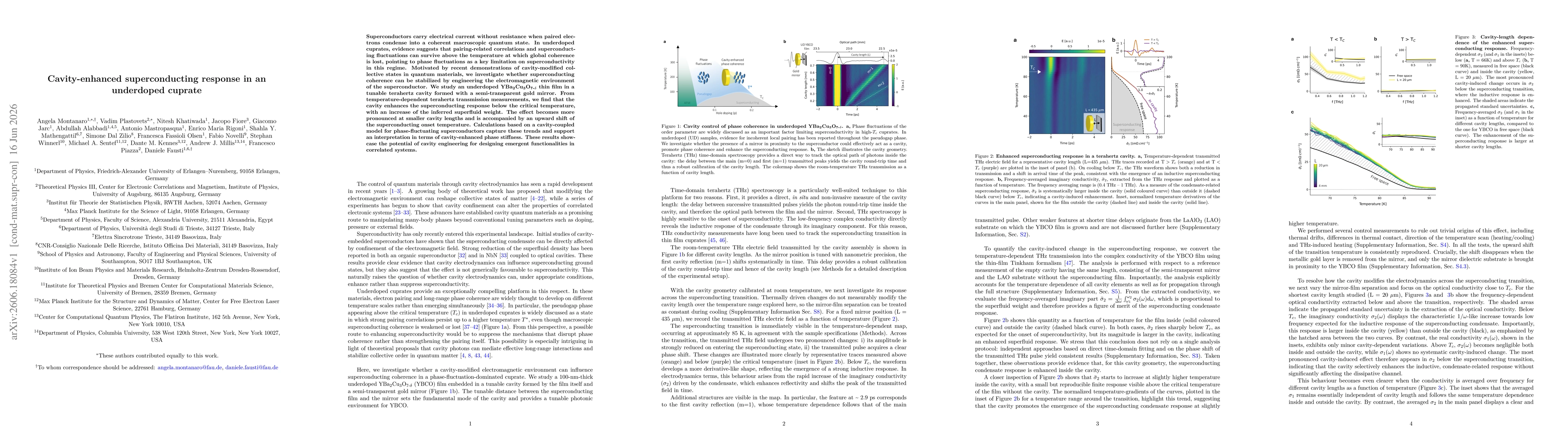 Thumbnail for Cavity-enhanced superconducting response in an underdoped cuprate