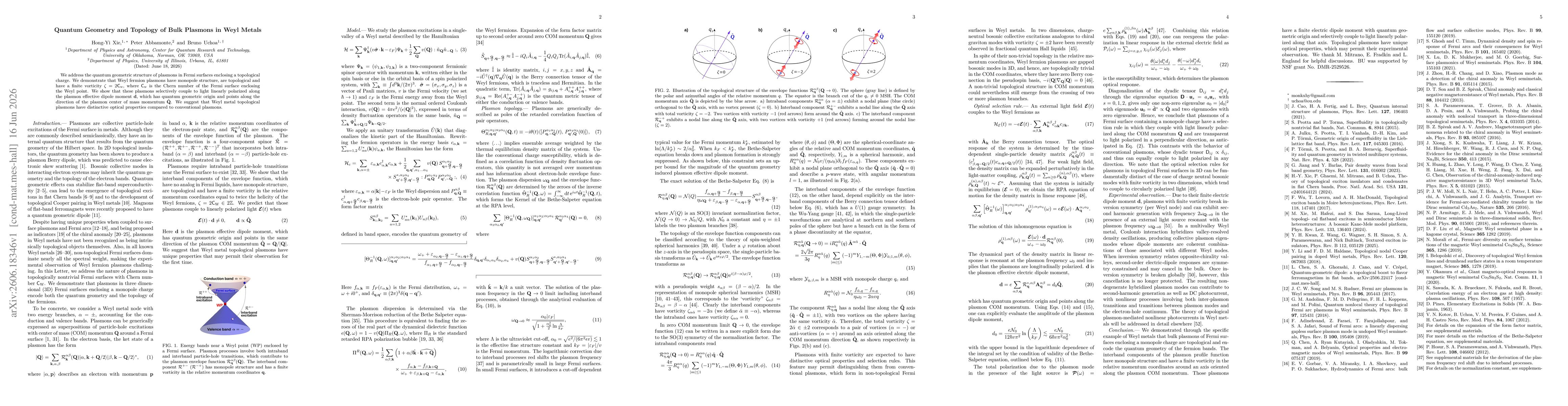 Thumbnail for Quantum Geometry and Topology of Bulk Plasmons in Weyl Metals