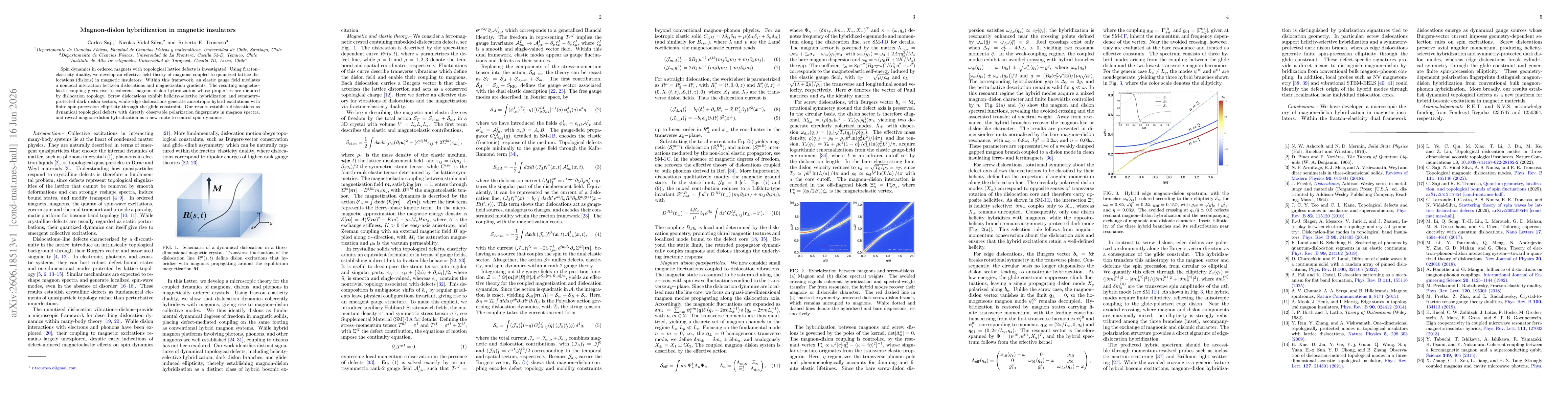 Thumbnail for Magnon-dislon hybridization in magnetic insulators