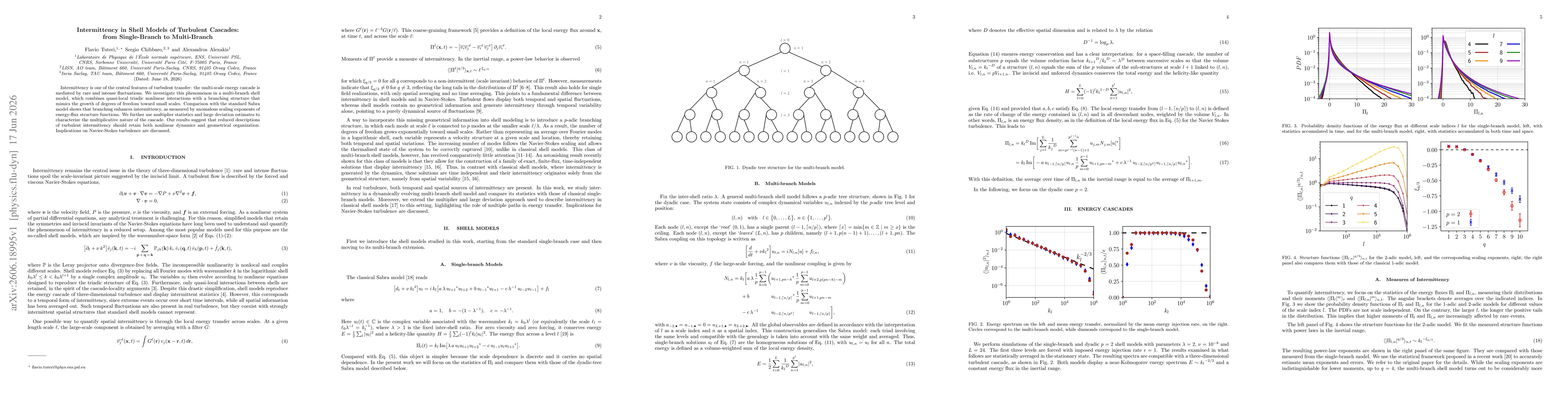 Thumbnail for Intermittency in Shell Models of Turbulent Cascades: from Single-Branch to Multi-Branch