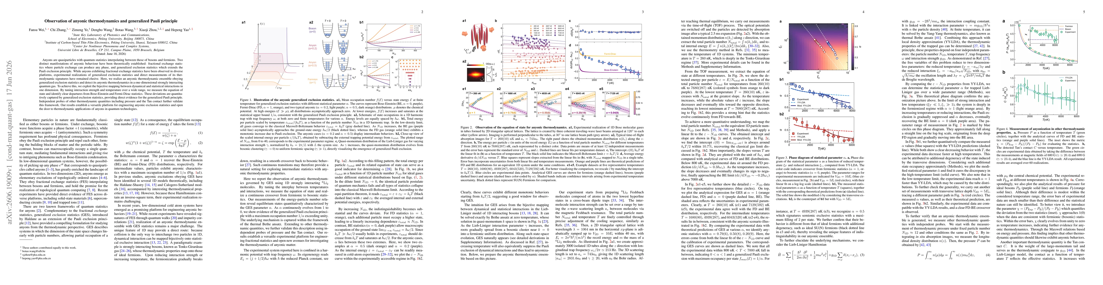 Thumbnail for Observation of anyonic thermodynamics and generalized Pauli principle