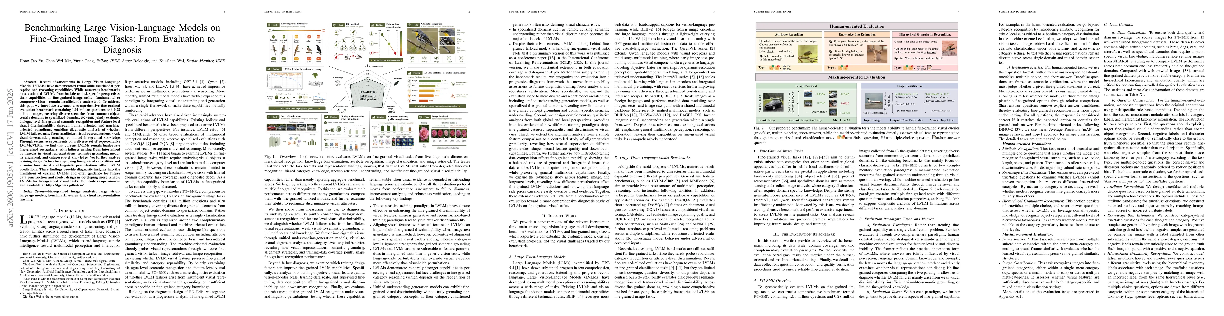 Thumbnail for Benchmarking Large Vision-Language Models on Fine-Grained Image Tasks: From Evaluation to Diagnosis