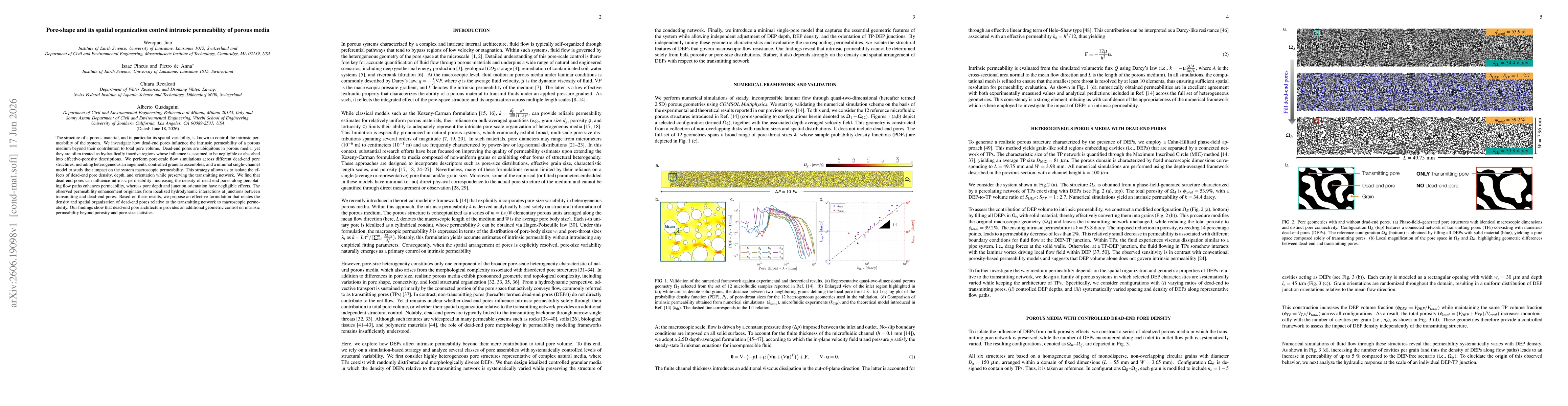 Thumbnail for Pore-shape and its spatial organization control intrinsic permeability of porous media