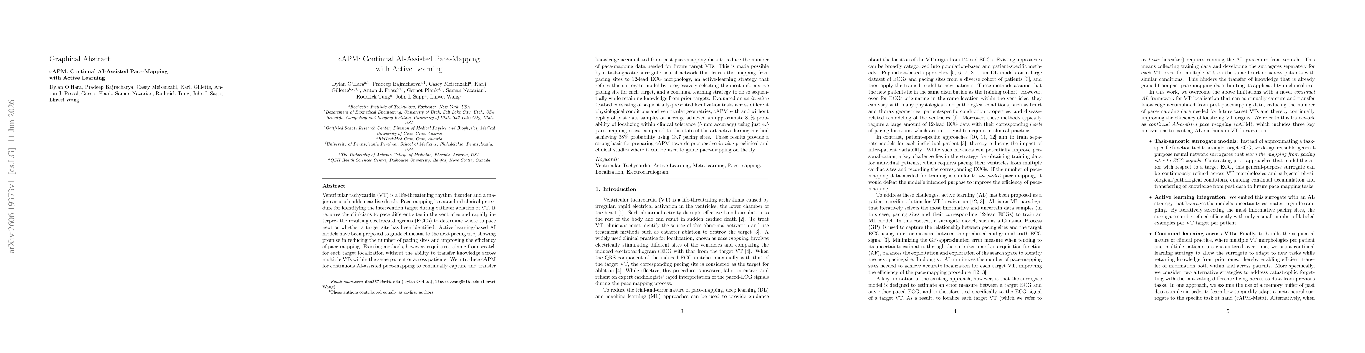 Thumbnail for cAPM: Continual AI-Assisted Pace-Mapping with Active Learning