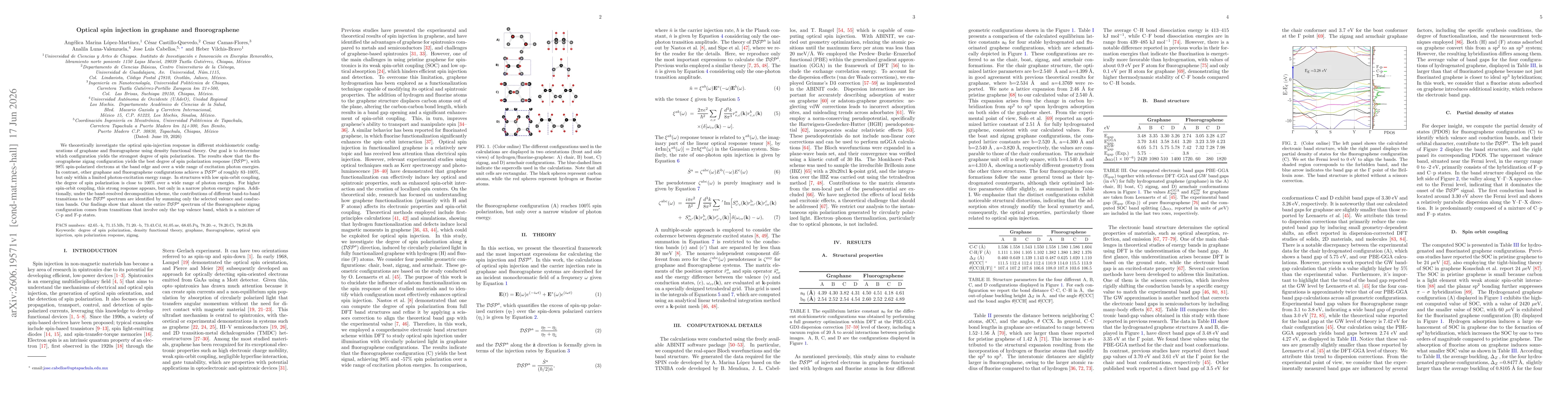 Thumbnail for Optical spin injection in graphane and fluorographene