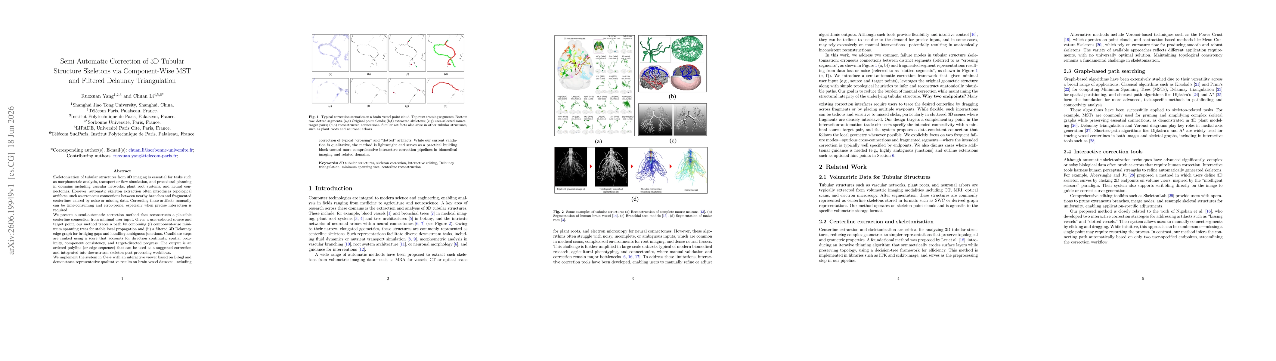 Thumbnail for Semi-Automatic Correction of 3D Tubular Structure Skeletons via Component-Wise MST and Filtered Delaunay Triangulation