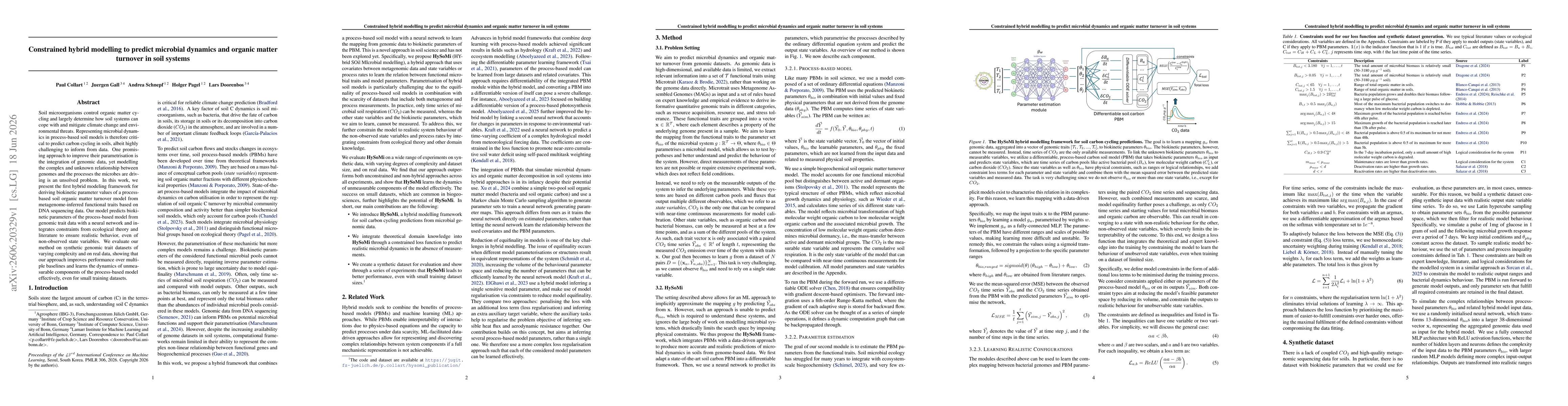 Thumbnail for Constrained hybrid modelling to predict microbial dynamics and organic matter turnover in soil systems