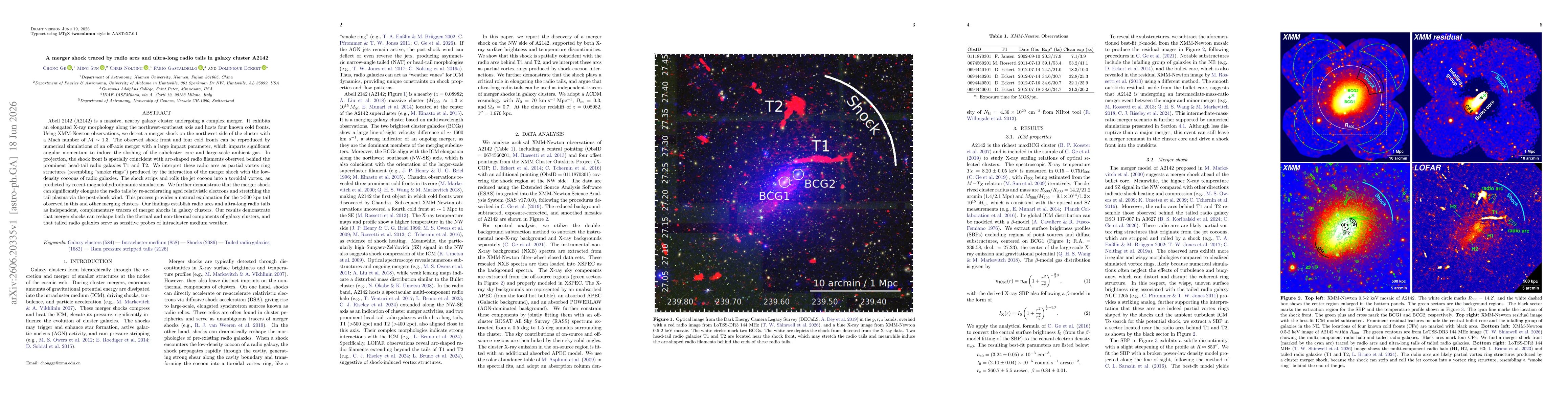 Thumbnail for A merger shock traced by radio arcs and ultra-long radio tails in galaxy cluster A2142