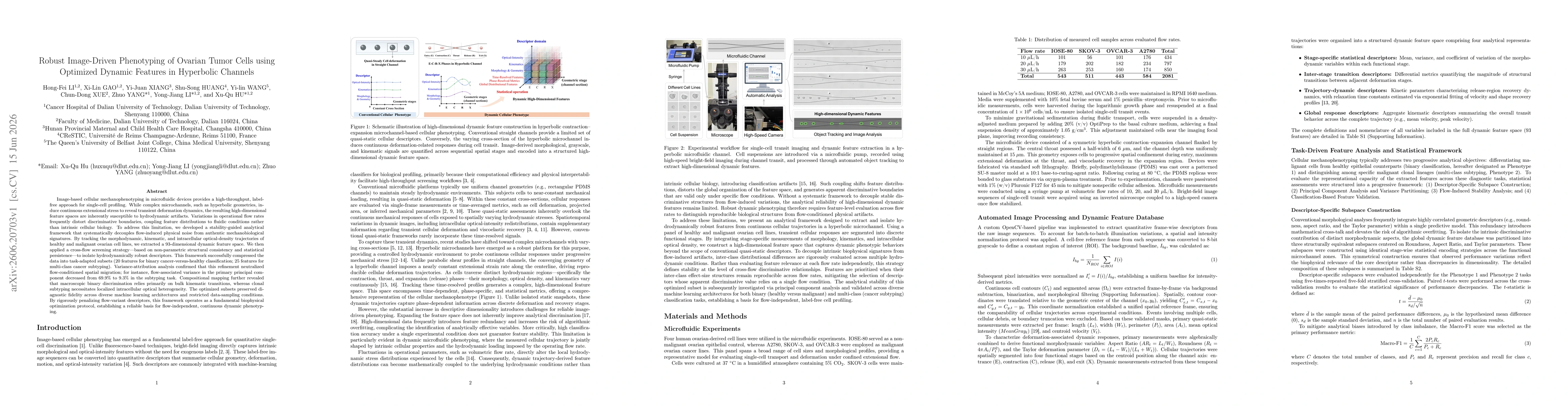 Thumbnail for Robust Image-Driven Phenotyping of Ovarian Tumor Cells using Optimized Dynamic Features in Hyperbolic Channels