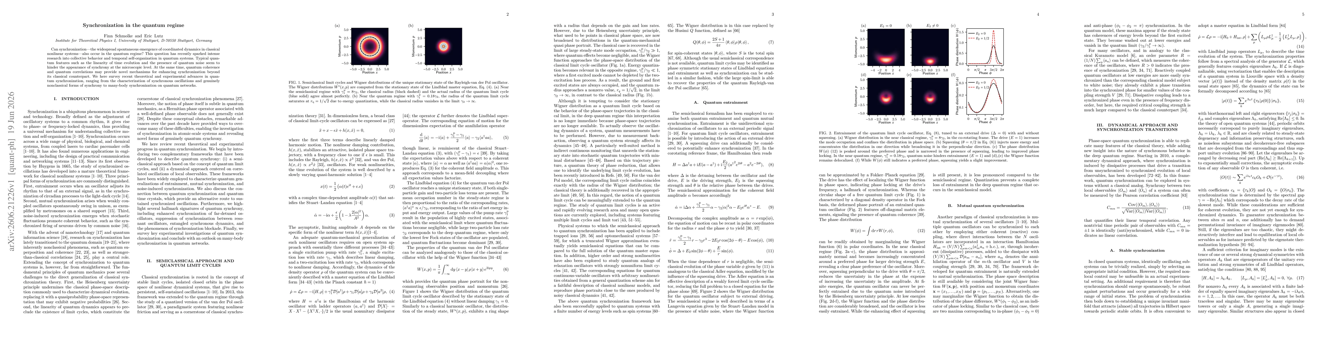 Thumbnail for Synchronization in the quantum regime