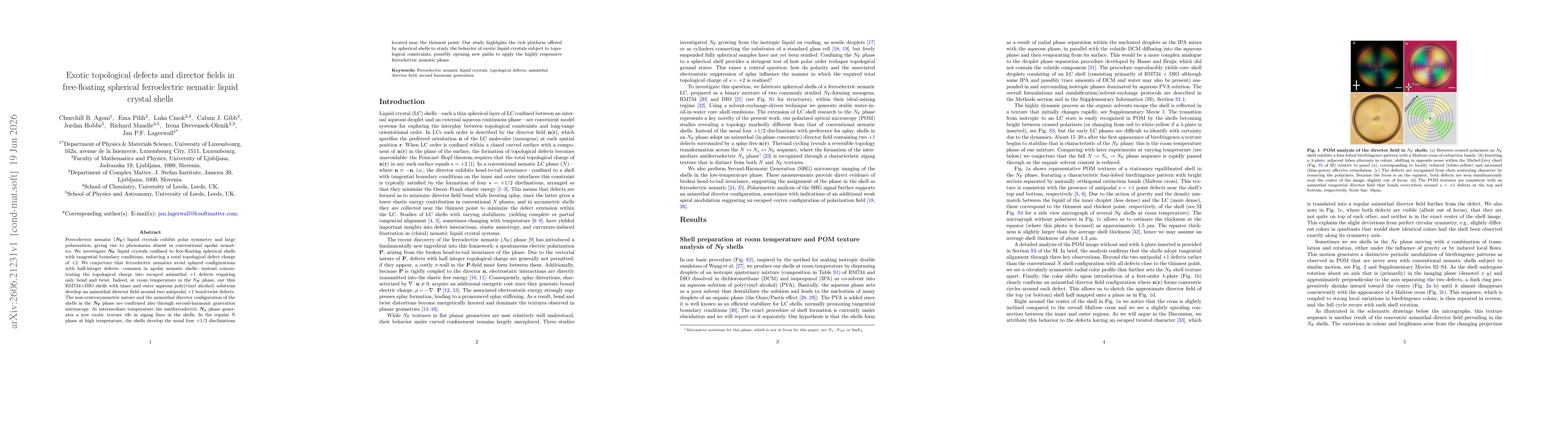 Thumbnail for Exotic topological defects and director fields in free-floating spherical ferroelectric nematic liquid crystal shells