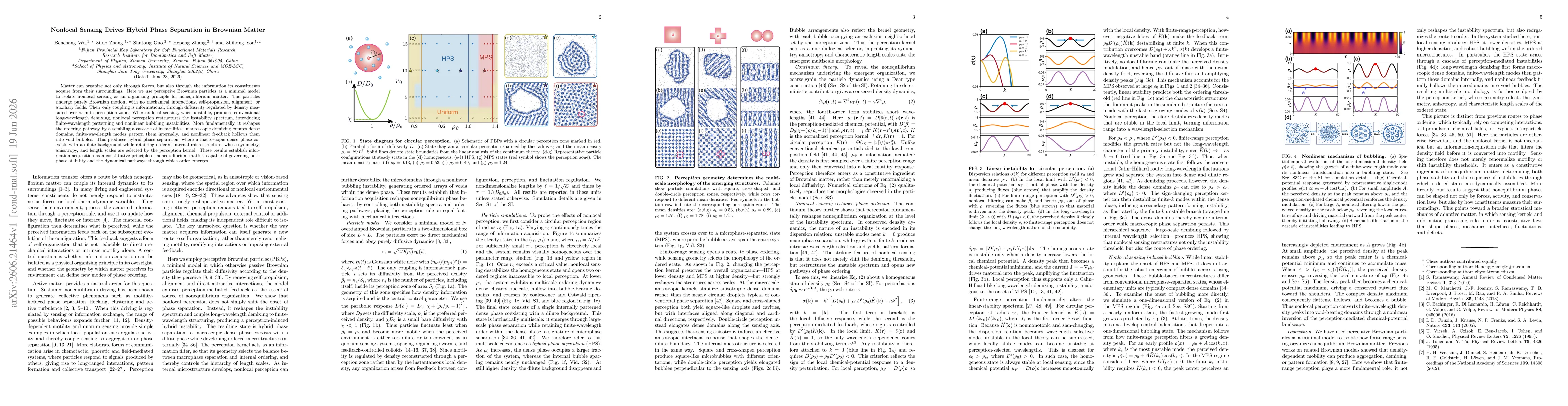 Thumbnail for Nonlocal Sensing Drives Hybrid Phase Separation in Brownian Matter