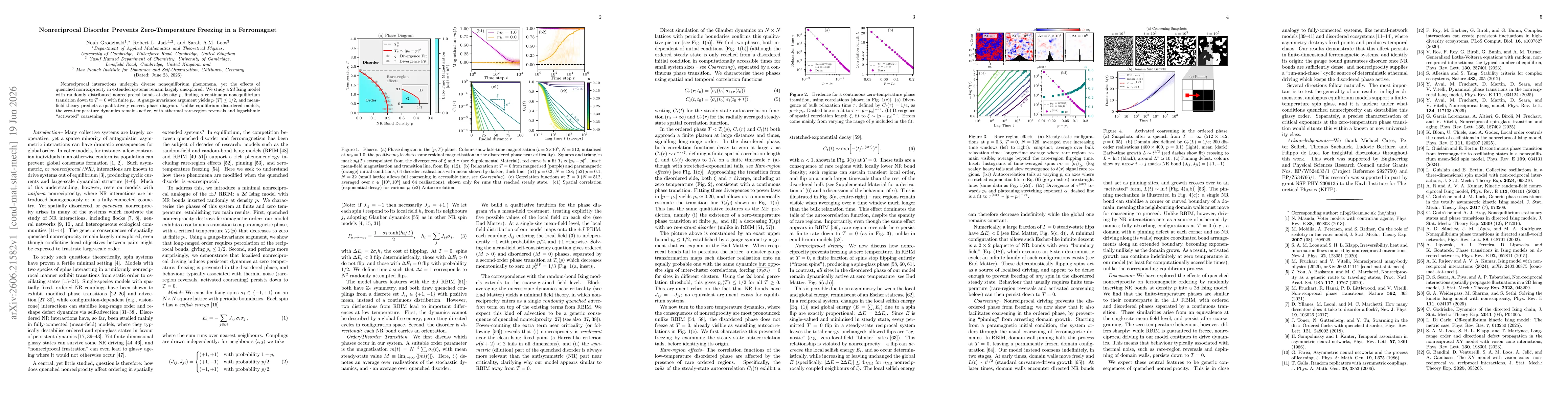 Thumbnail for Nonreciprocal Disorder Prevents Zero-Temperature Freezing in a Ferromagnet