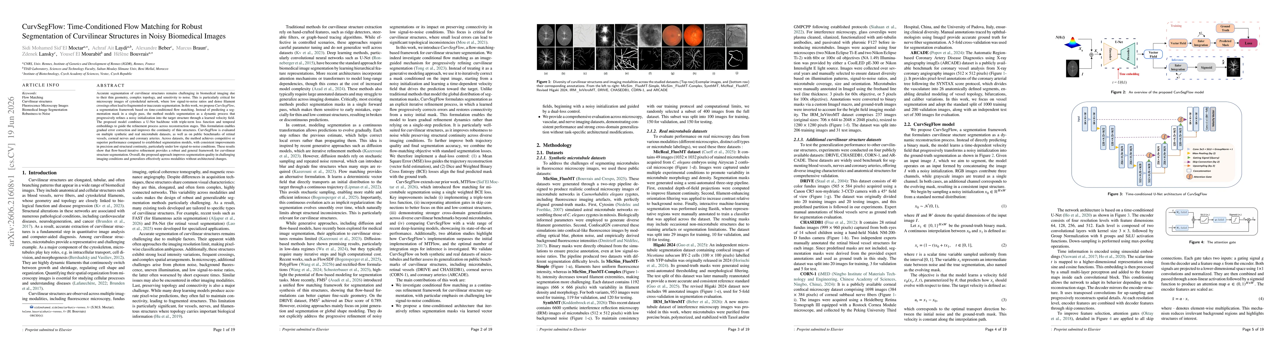 Thumbnail for CurvSegFlow: Time-Conditioned Flow Matching for Robust Segmentation of Curvilinear Structures in Noisy Biomedical Images