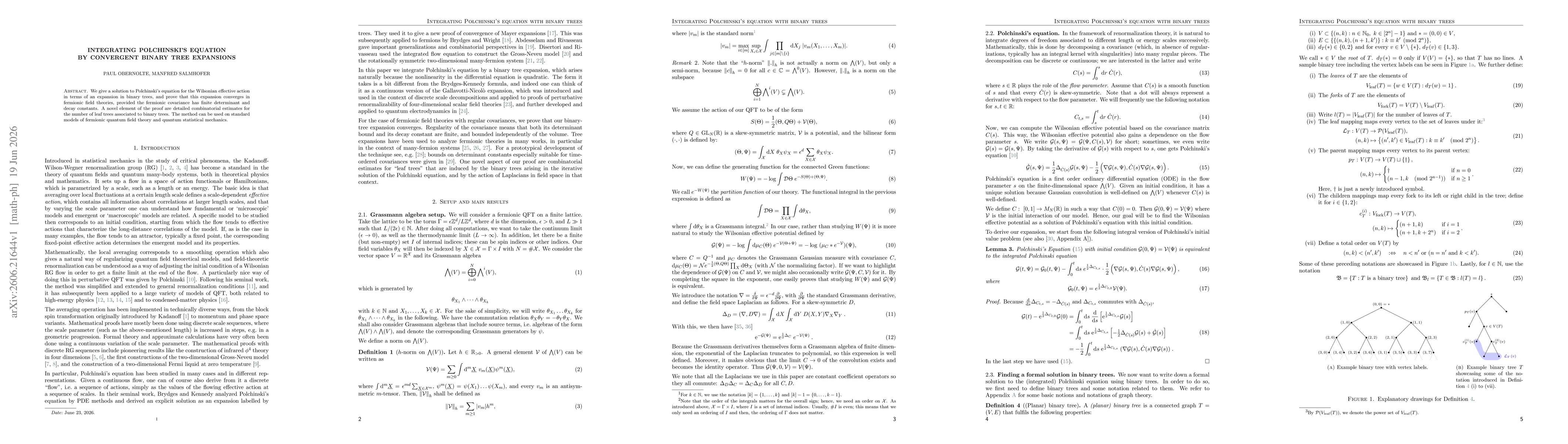 Thumbnail for Integrating Polchinski's equation by convergent binary tree expansions