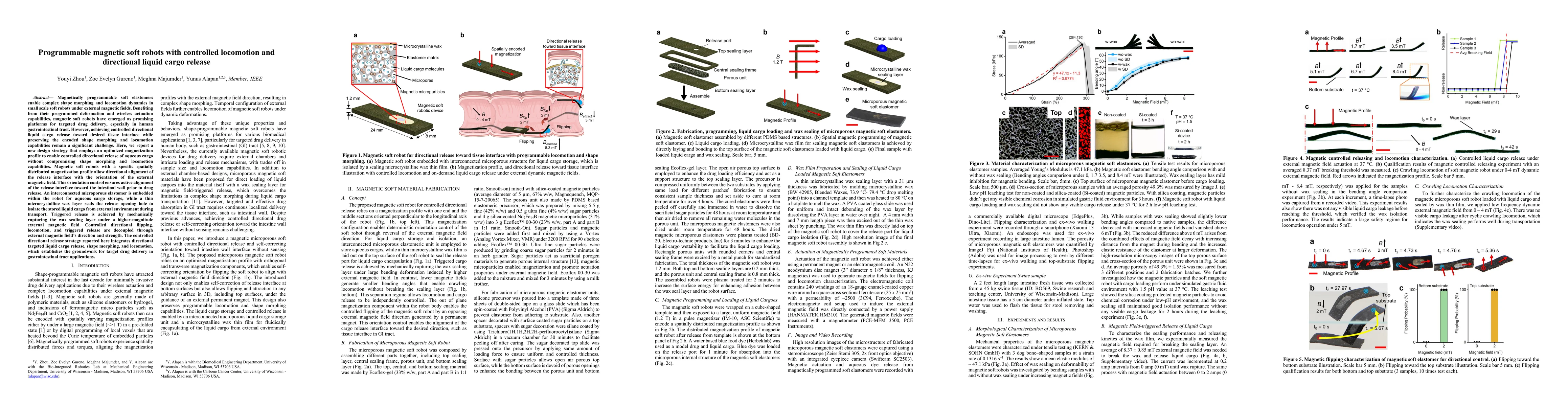 Thumbnail for Programmable magnetic soft robots with controlled locomotion and directional liquid cargo release