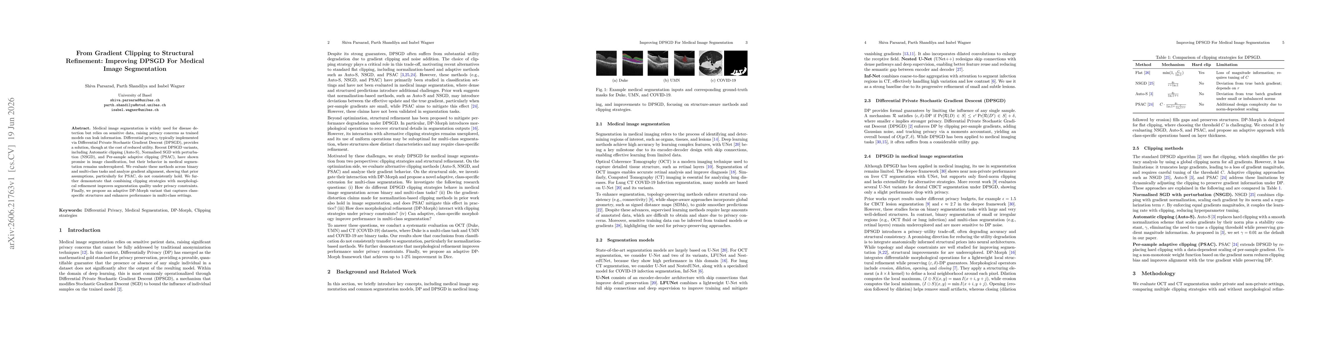 Thumbnail for From Gradient Clipping to Structural Refinement: Improving DPSGD for Medical Image Segmentation