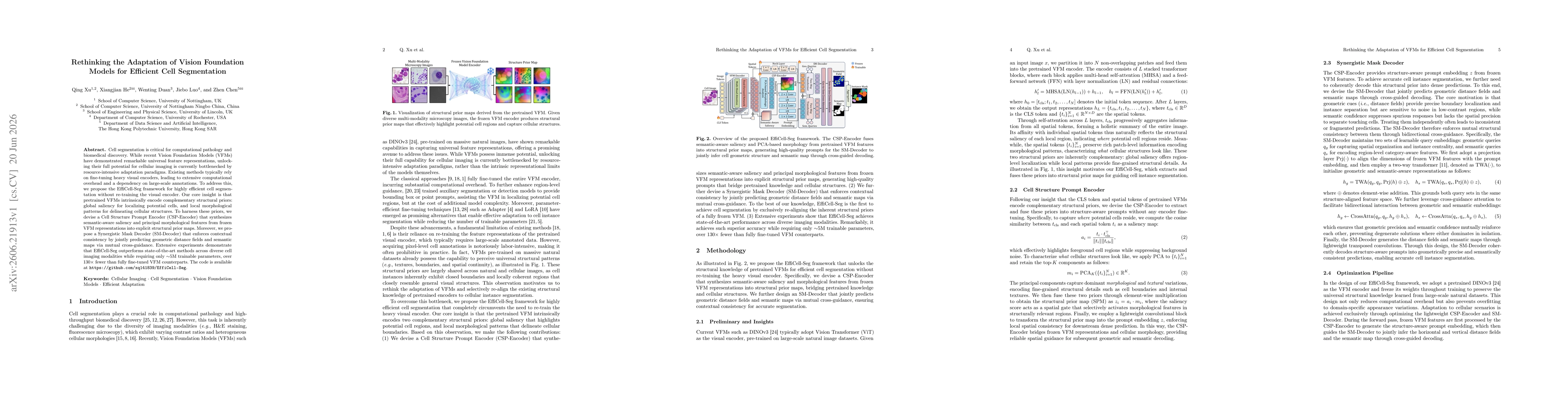 Thumbnail for Rethinking the Adaptation of Vision Foundation Models for Efficient Cell Segmentation
