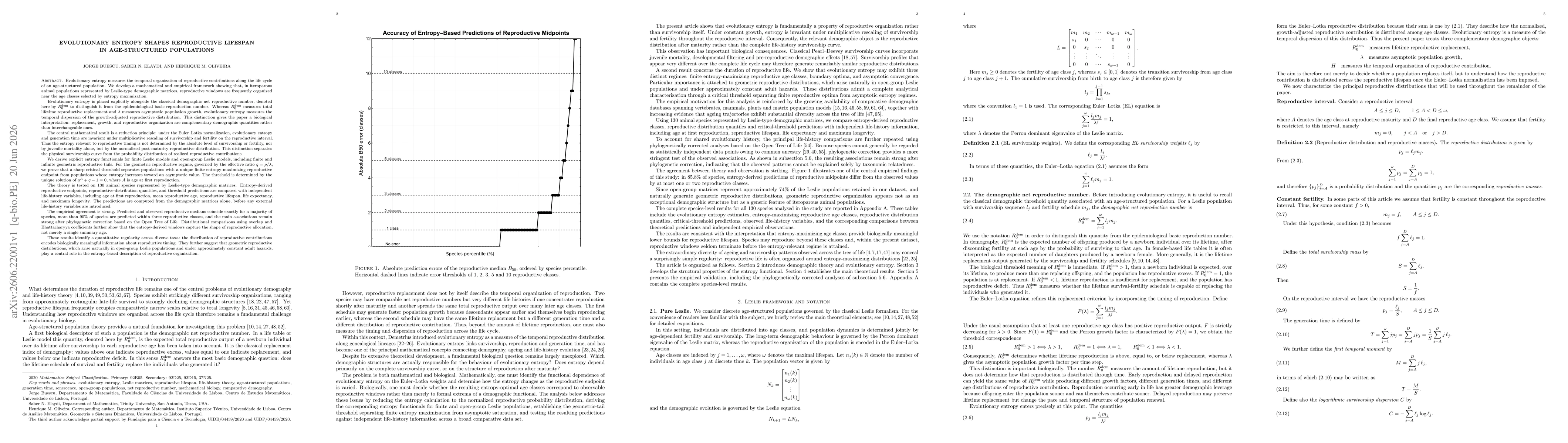 Thumbnail for Evolutionary Entropy Shapes Reproductive Lifespan in Age-Structured Populations