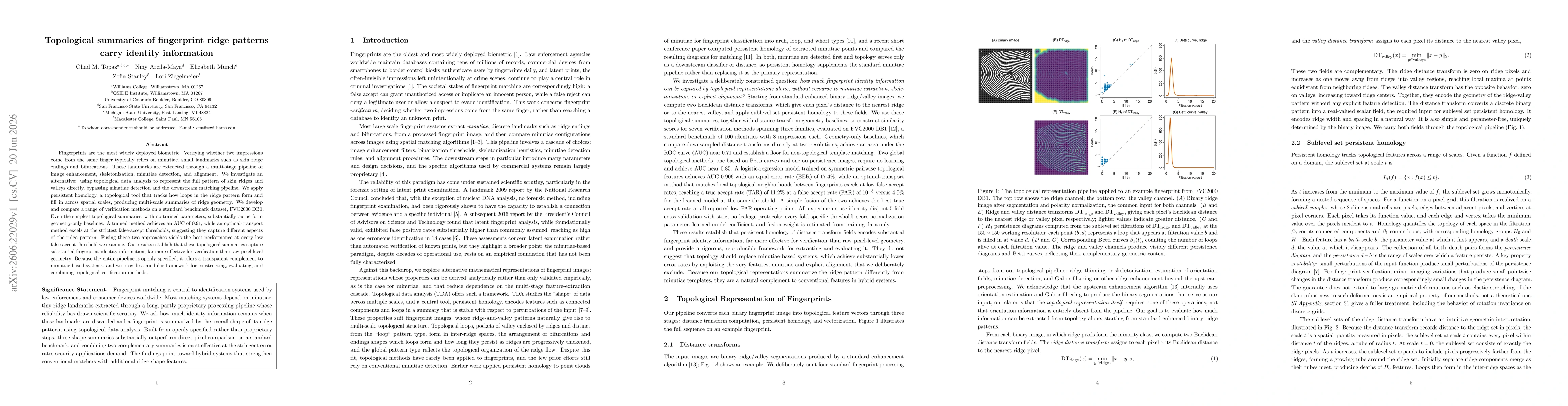 Thumbnail for Topological summaries of fingerprint ridge patterns carry identity information