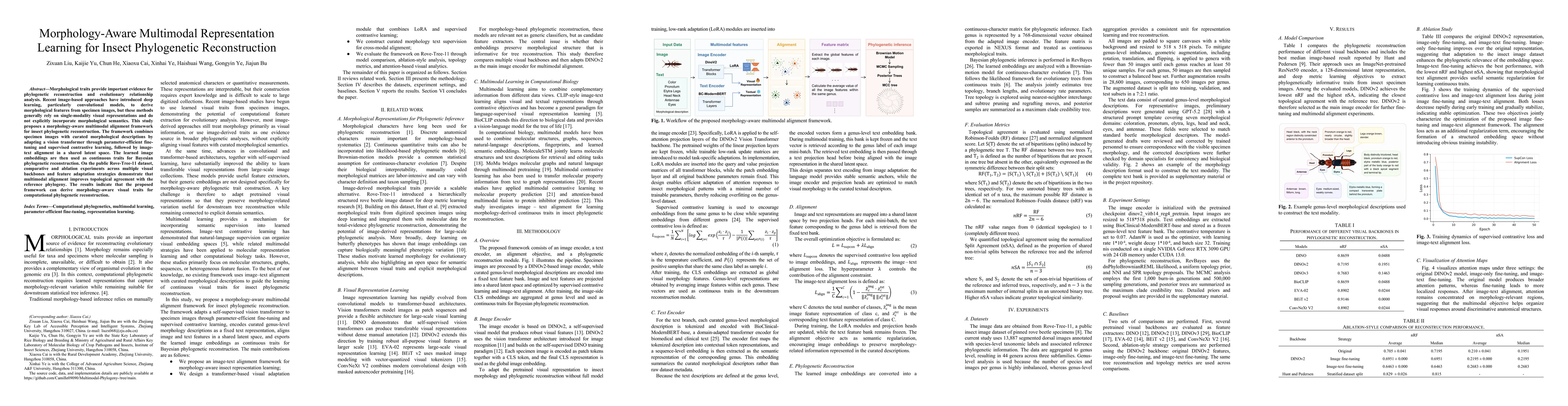 Thumbnail for Morphology-Aware Multimodal Representation Learning for Insect Phylogenetic Reconstruction