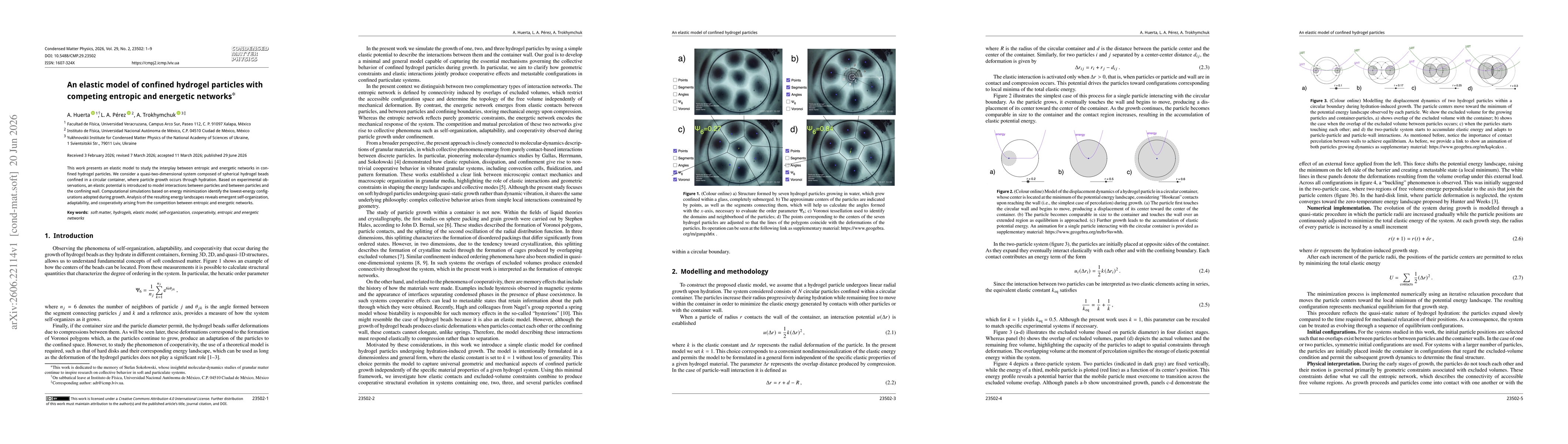 Thumbnail for An elastic model of confined hydrogel particles with competing entropic and energetic networks