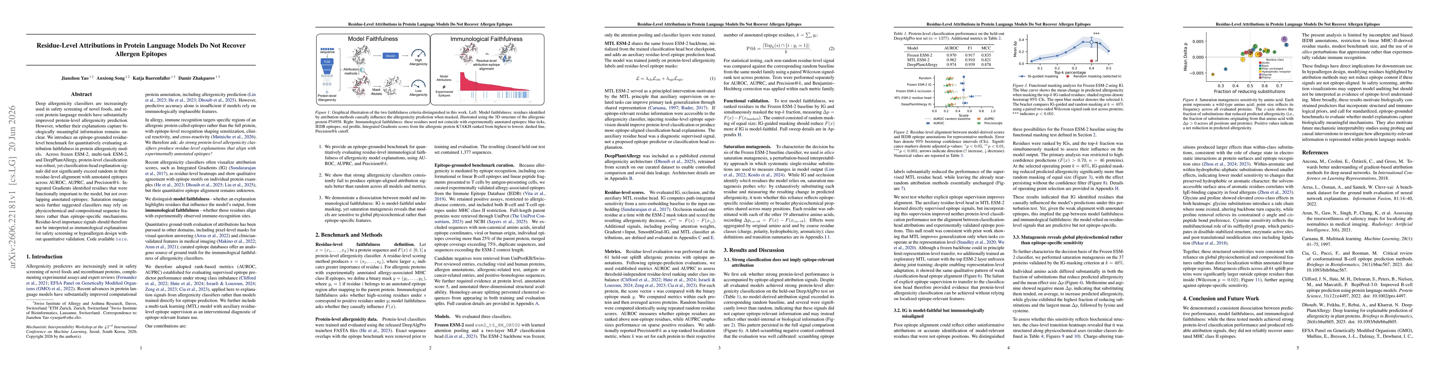 Thumbnail for Residue-Level Attributions in Protein Language Models Do Not Recover Allergen Epitopes