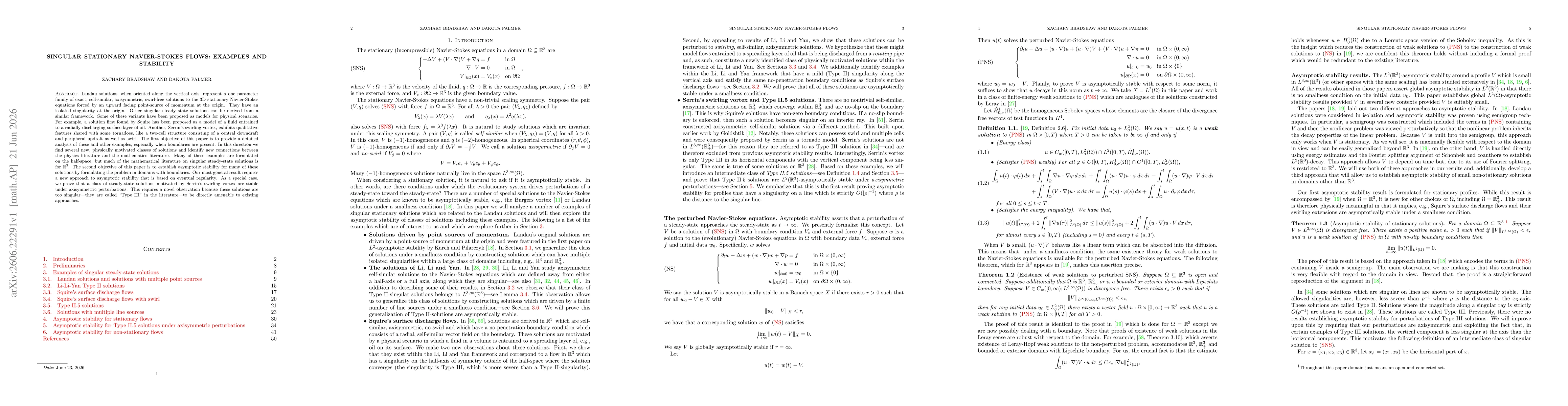 Thumbnail for Singular stationary Navier-Stokes flows: examples and stability