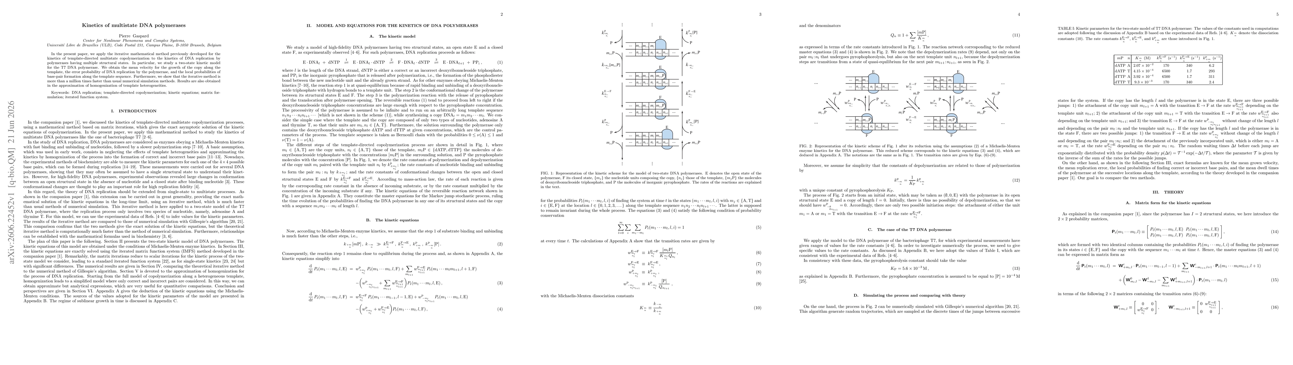 Thumbnail for Kinetics of multistate DNA polymerases