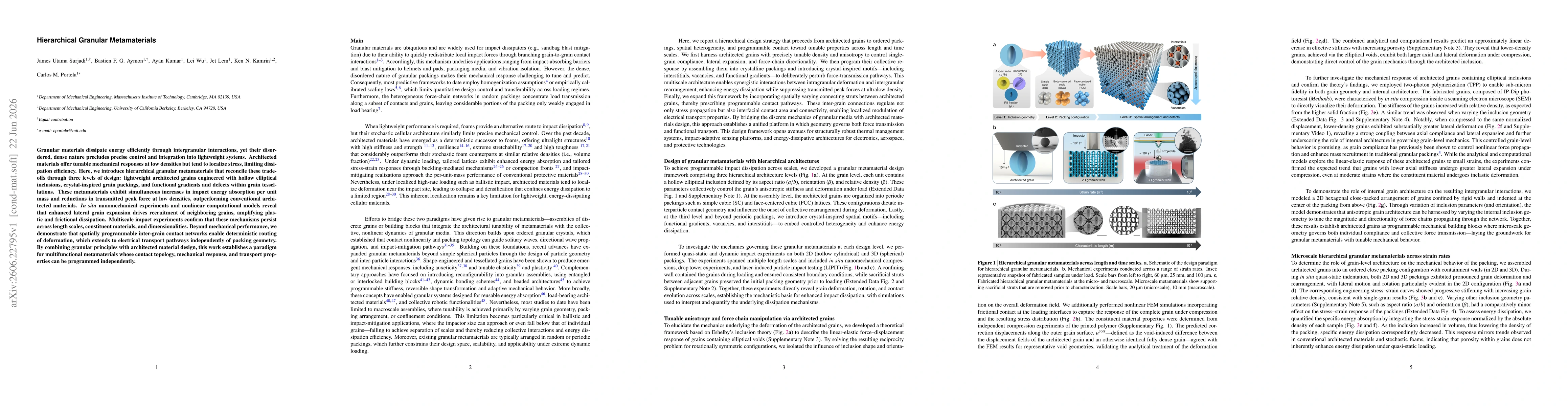Thumbnail for Hierarchical Granular Metamaterials
