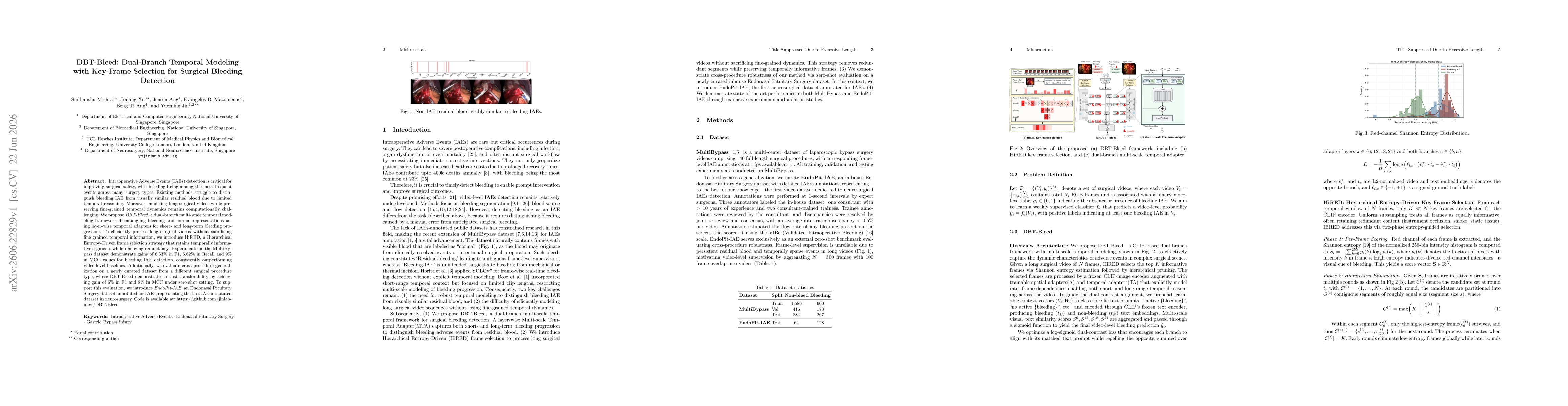 Thumbnail for DBT-Bleed: Dual-Branch Temporal Modeling with Key-Frame Selection for Surgical Bleeding Detection