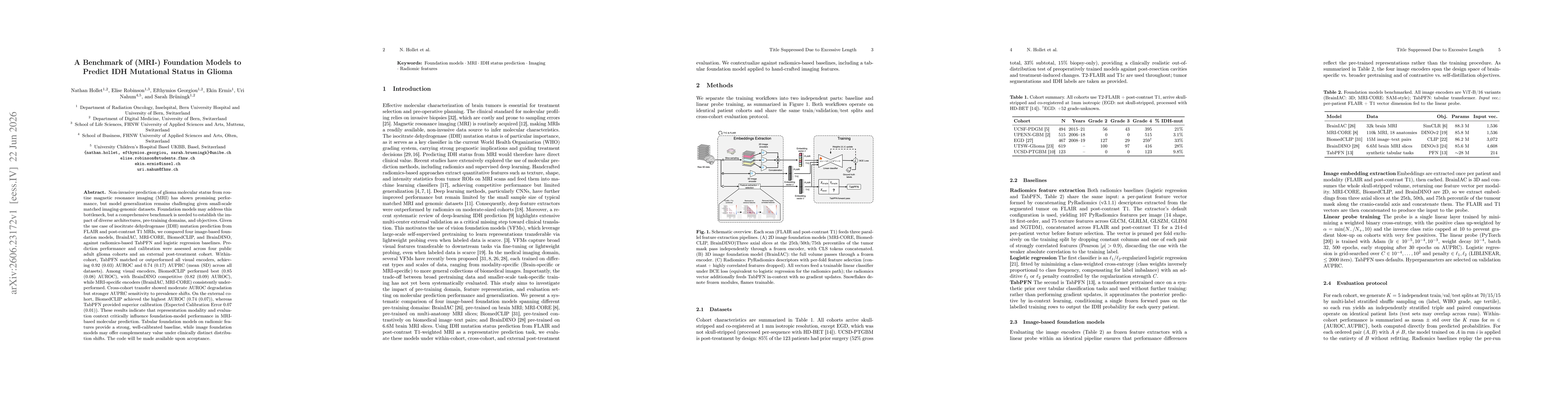Thumbnail for A Benchmark of (MRI-) Foundation Models to Predict IDH Mutational Status in Glioma