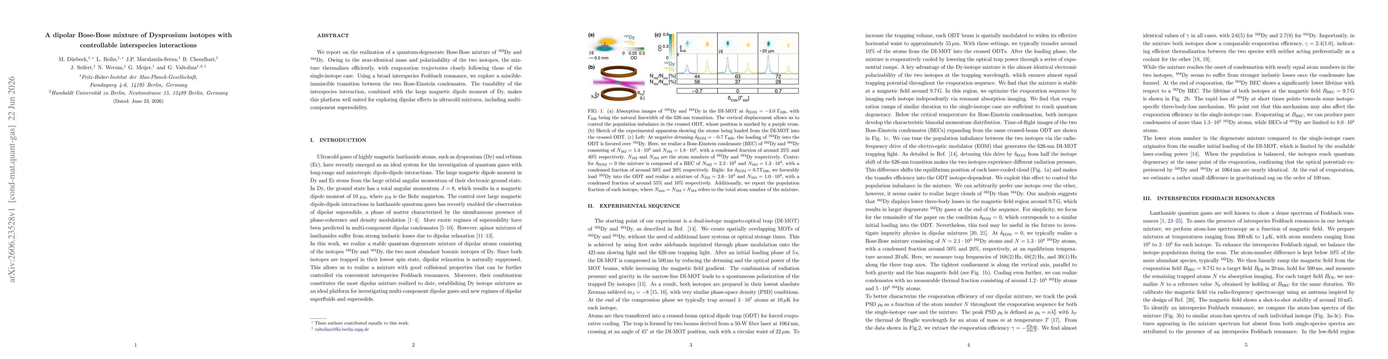 Thumbnail for A dipolar Bose-Bose mixture of Dysprosium isotopes with controllable interspecies interactions