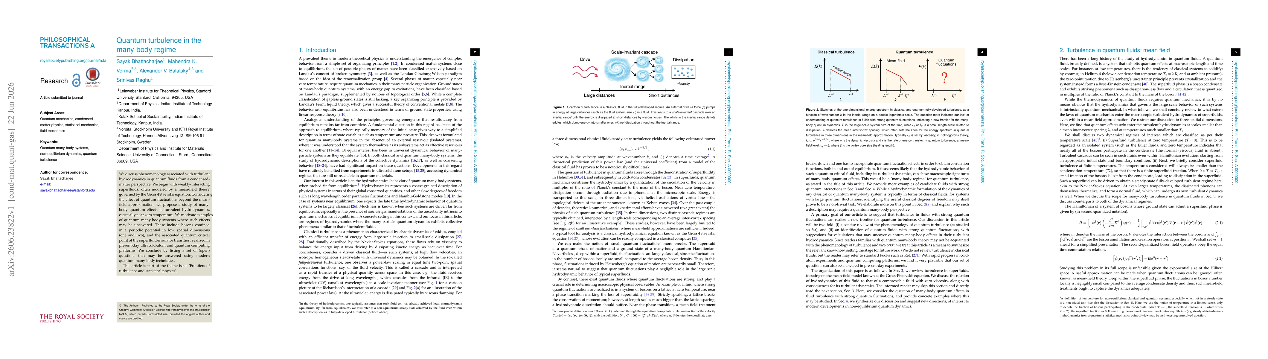 Thumbnail for Quantum turbulence in the many-body regime