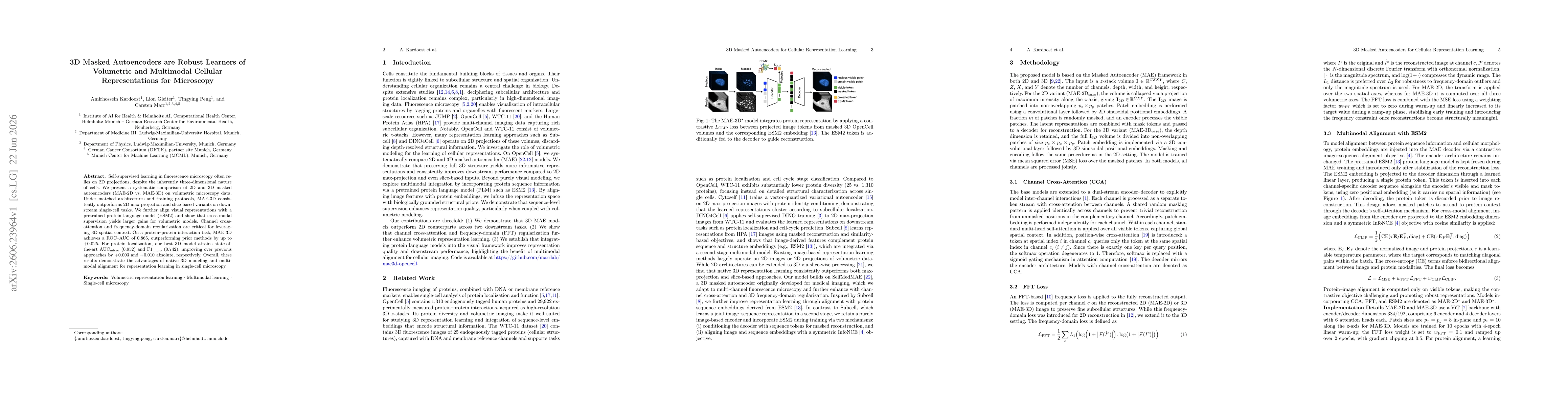 Thumbnail for 3D Masked Autoencoders are Robust Learners of Volumetric and Multimodal Cellular Representations for Microscopy