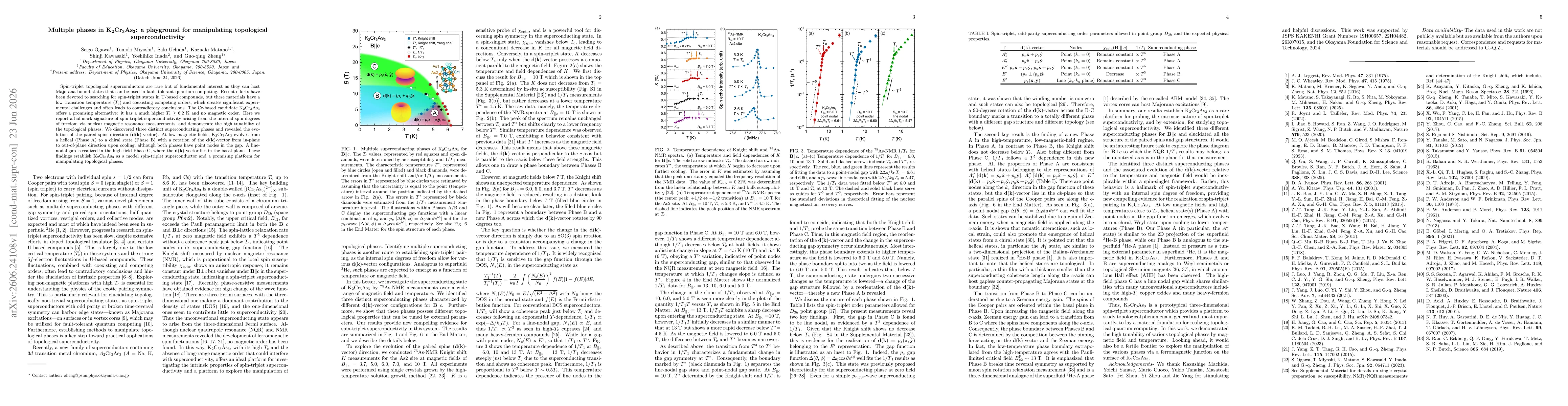 Thumbnail for Multiple phases in K2Cr3As3: a playground for manipulating topological superconductivity