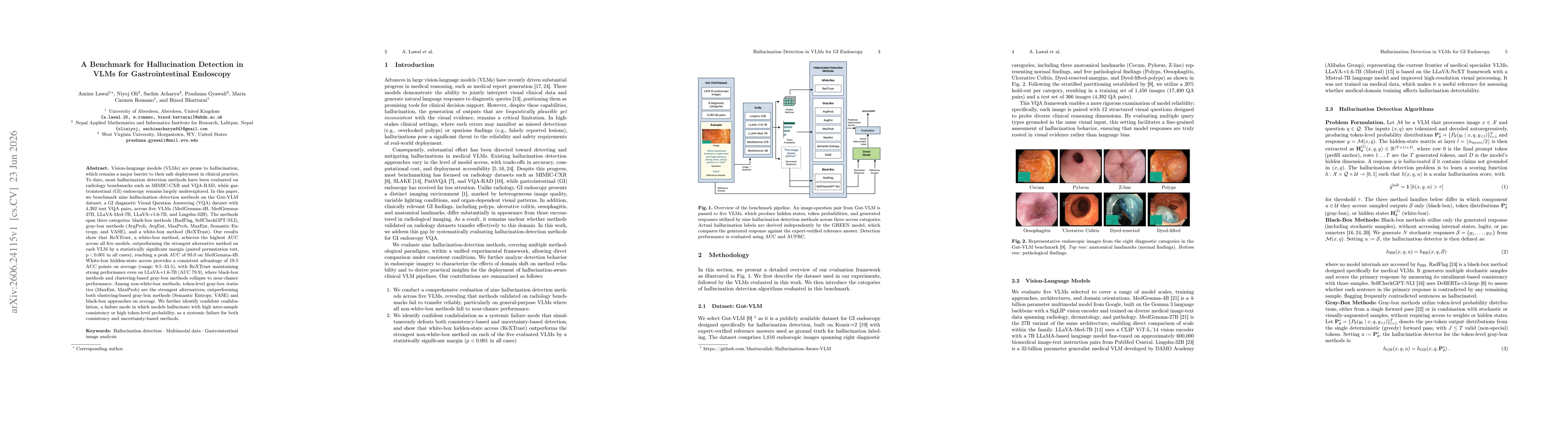 Thumbnail for A Benchmark for Hallucination Detection in VLMs for Gastrointestinal Endoscopy
