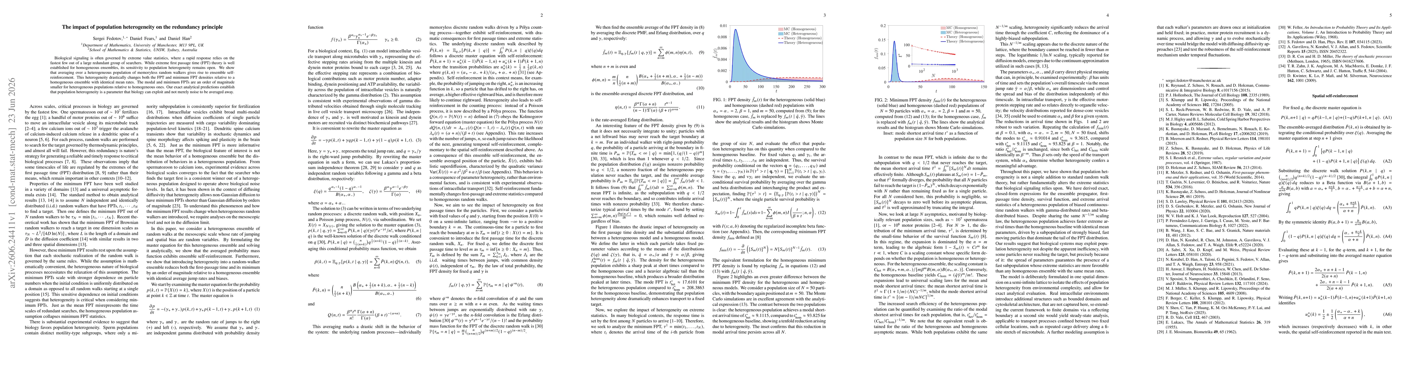 Thumbnail for The impact of population heterogeneity on the redundancy principle