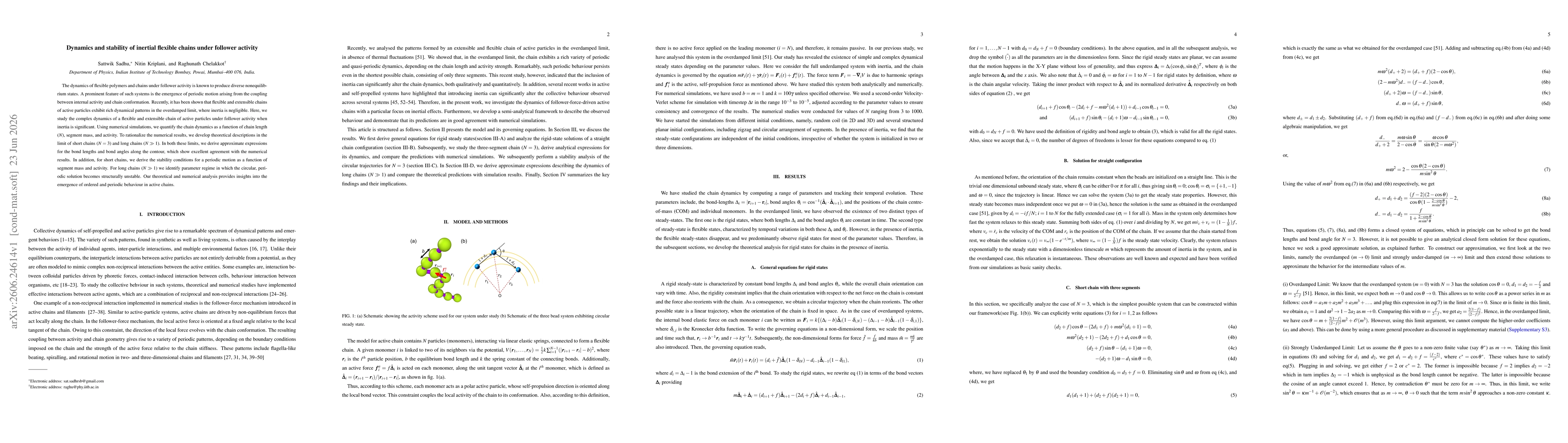 Thumbnail for Dynamics and stability of inertial flexible chains under follower activity