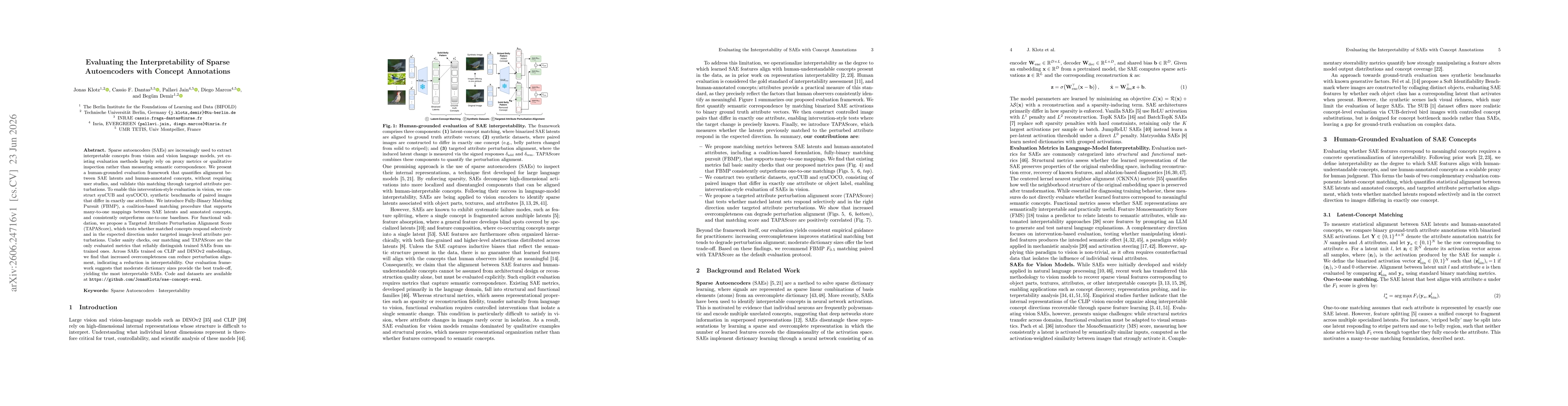 Thumbnail for Evaluating the Interpretability of Sparse Autoencoders with Concept Annotations