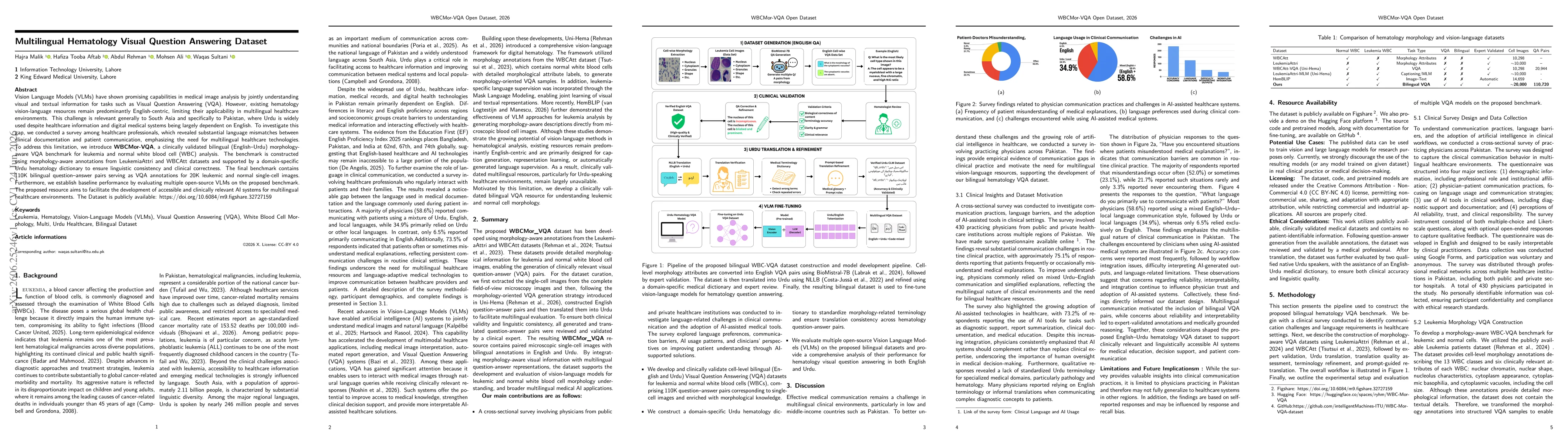 Thumbnail for Multilingual Hematology Visual Question Answering Dataset