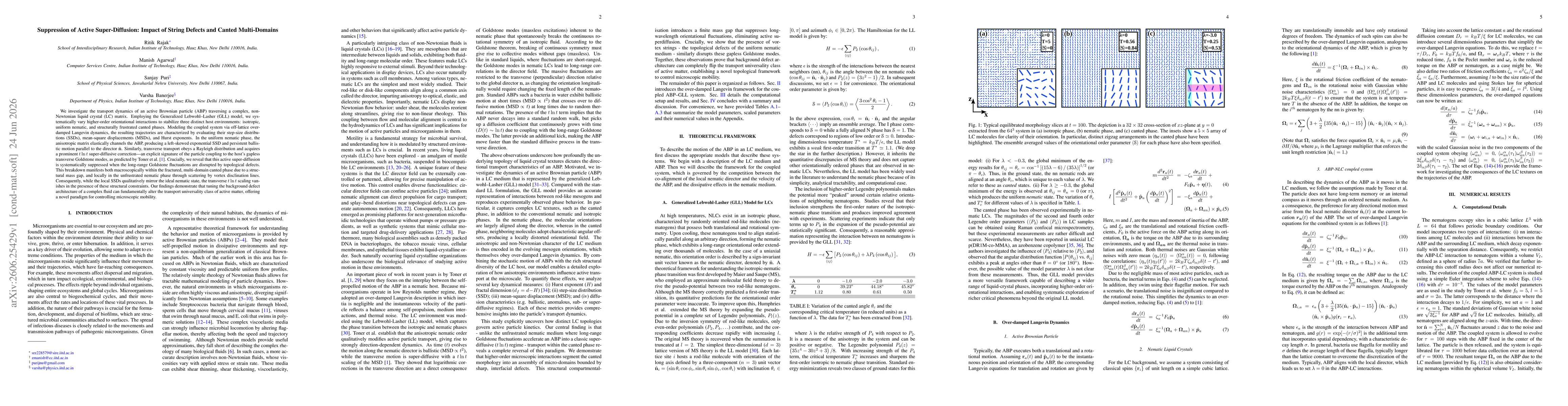 Thumbnail for Suppression of Active Super-Diffusion: Impact of String Defects and Canted Multi-Domains