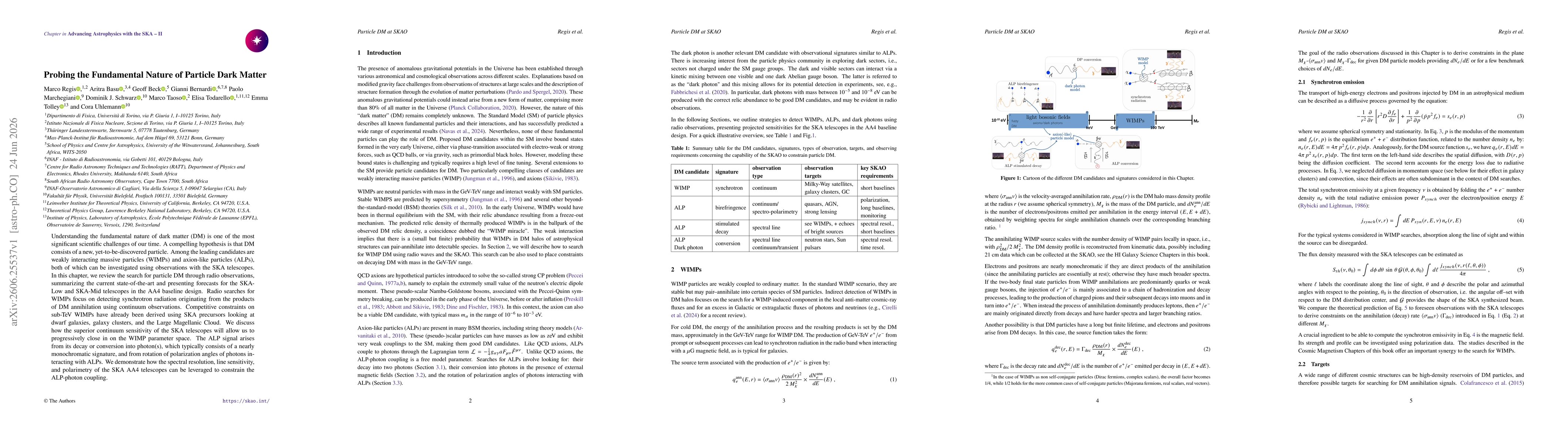Thumbnail for Probing the Fundamental Nature of Particle Dark Matter