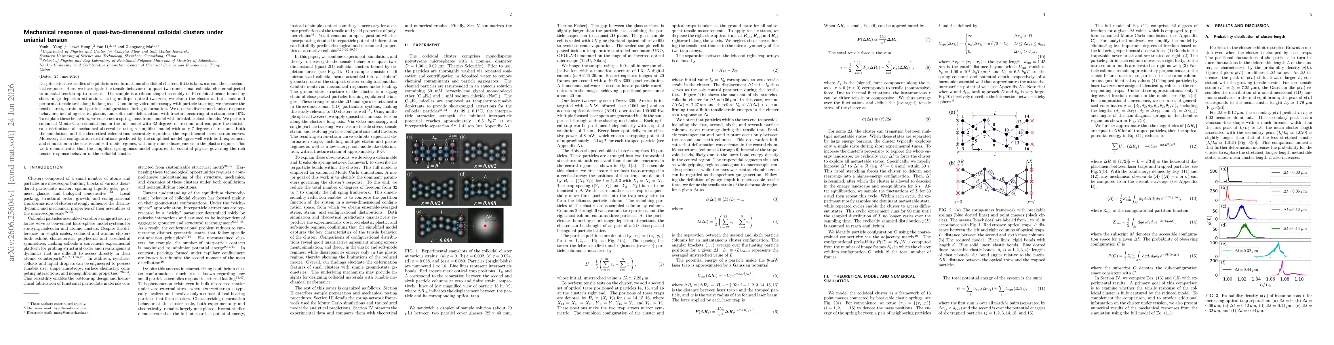 Thumbnail for Mechanical response of quasi-two-dimensional colloidal clusters under uniaxial tension