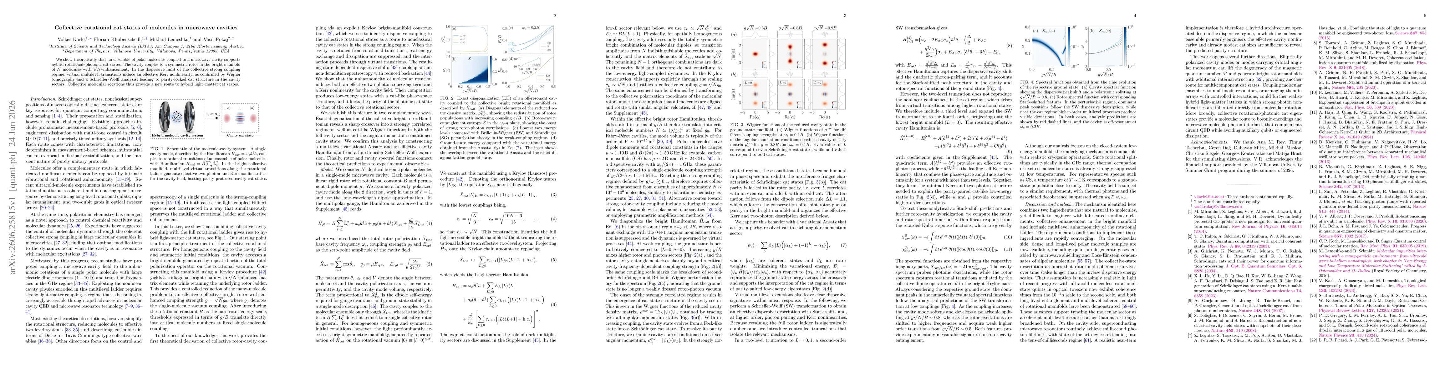 Thumbnail for Collective rotational cat states of molecules in microwave cavities