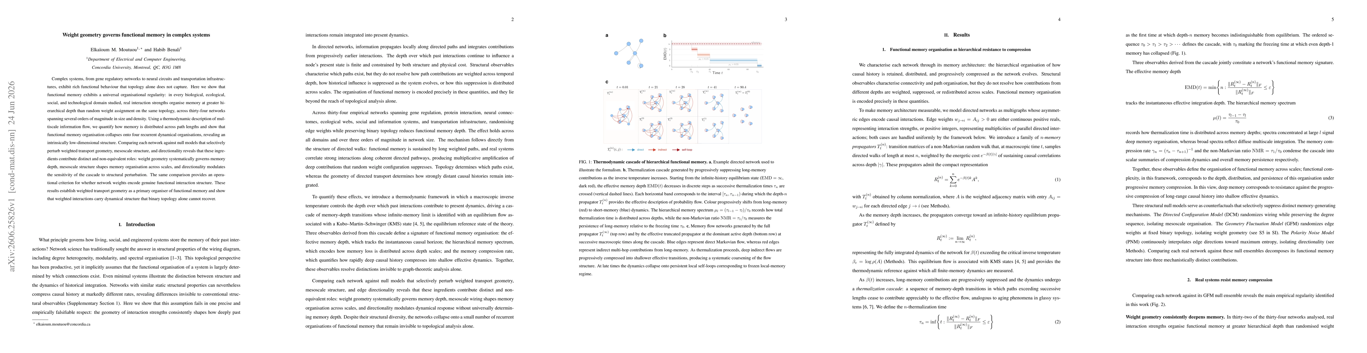 Thumbnail for Weight geometry governs functional memory in complex systems