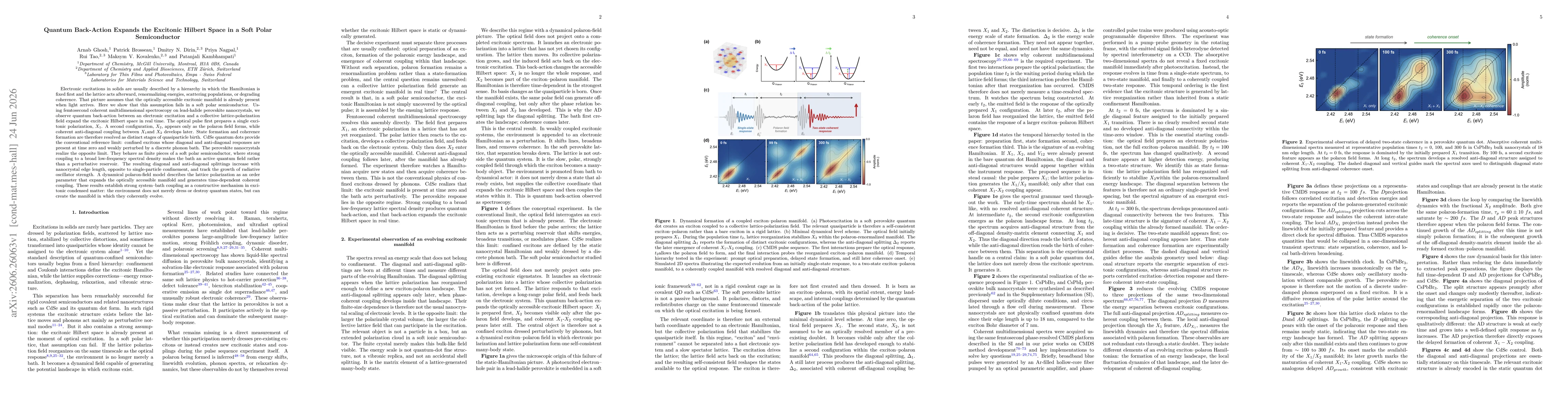 Thumbnail for Quantum Back-Action Expands the Excitonic Hilbert Space in a Soft Polar Semiconductor